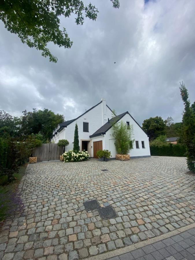 Nummer 151 Villastudios Hasselt Esterno foto