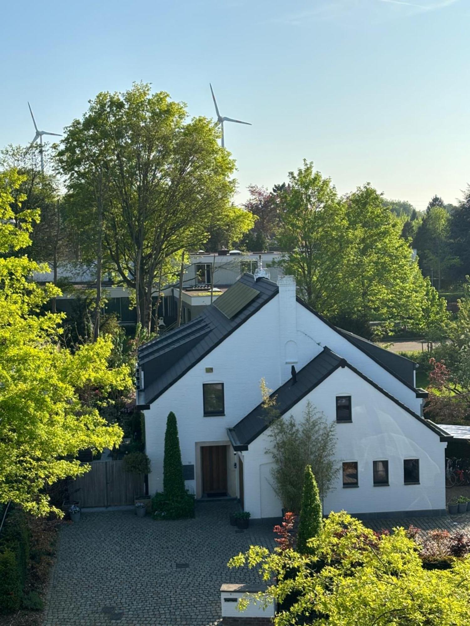 Nummer 151 Villastudios Hasselt Esterno foto